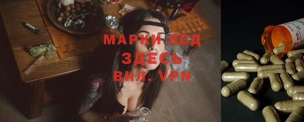 ПСИЛОЦИБИНОВЫЕ ГРИБЫ Арсеньев
