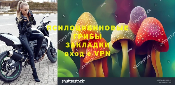 ПСИЛОЦИБИНОВЫЕ ГРИБЫ Арсеньев