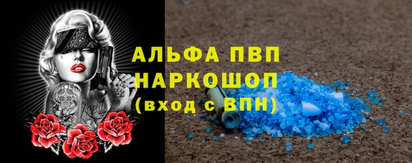 стаф Лабытнанги