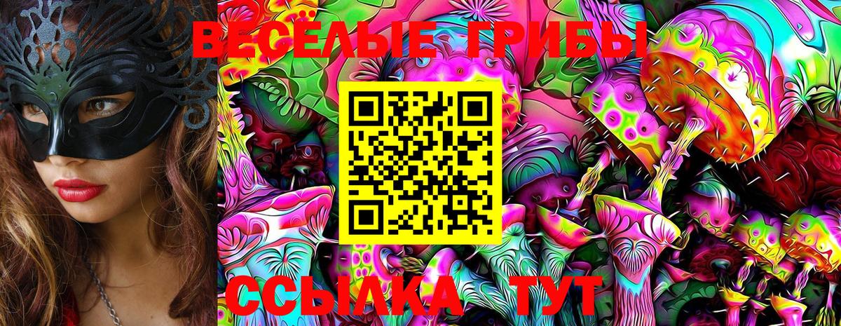 Волгодонск  Галлюциногенные грибы Cubensis  Вход с VPN  Галлюциногенные грибы Magic Shrooms 